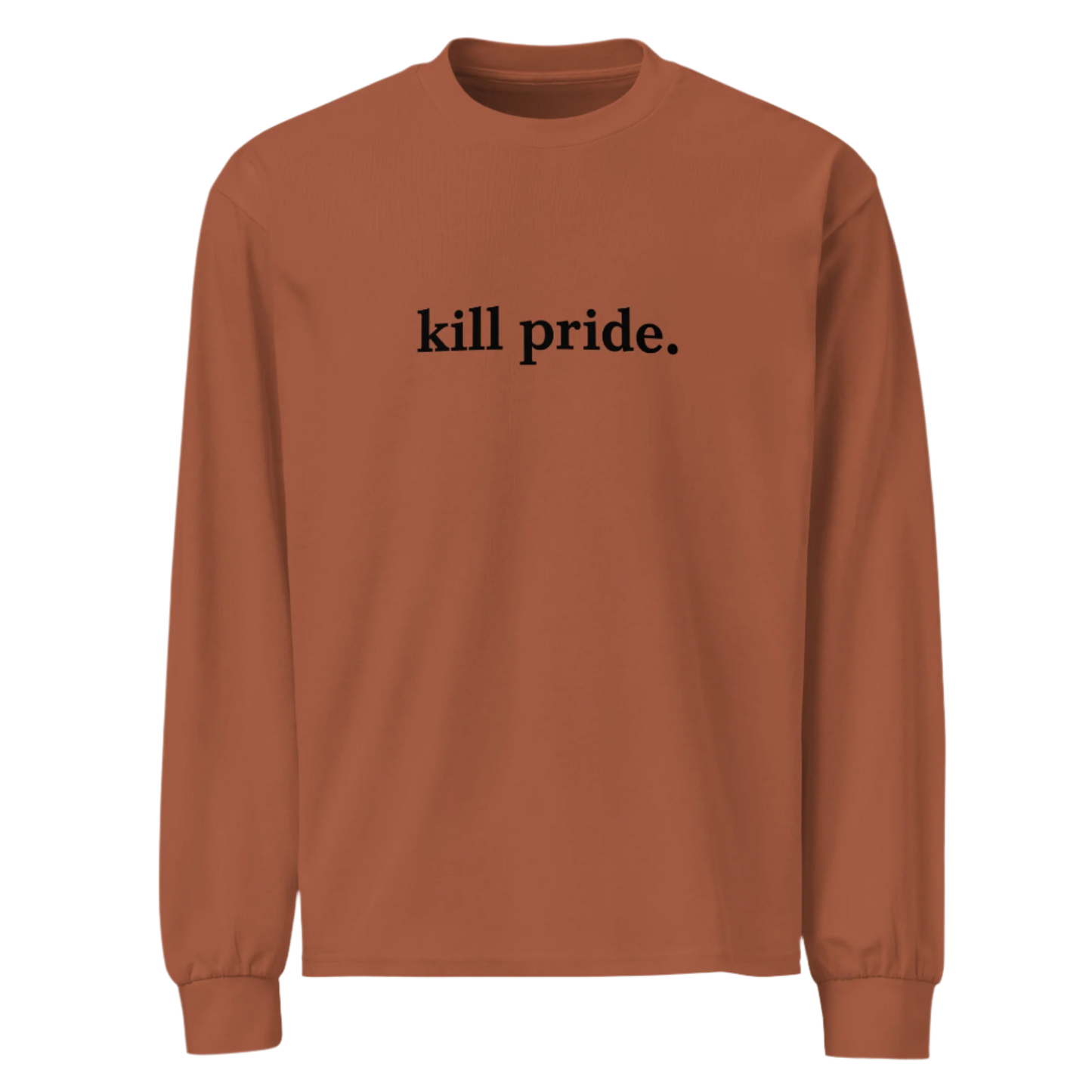 statement heavyweight long sleeve shirt